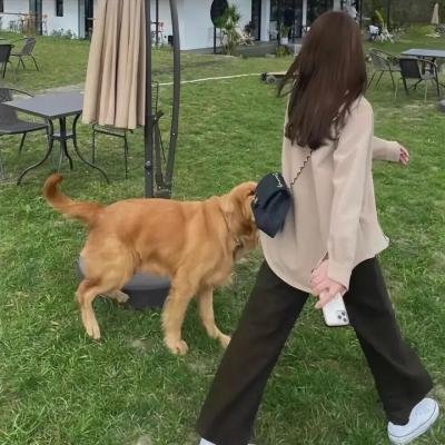 致命愿望
